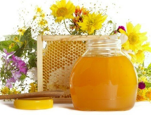 Самые популярные рецепты лечения мёдом