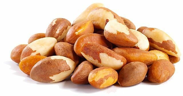 Польза и вред бразильского ореха