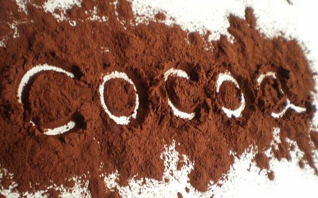 какао2